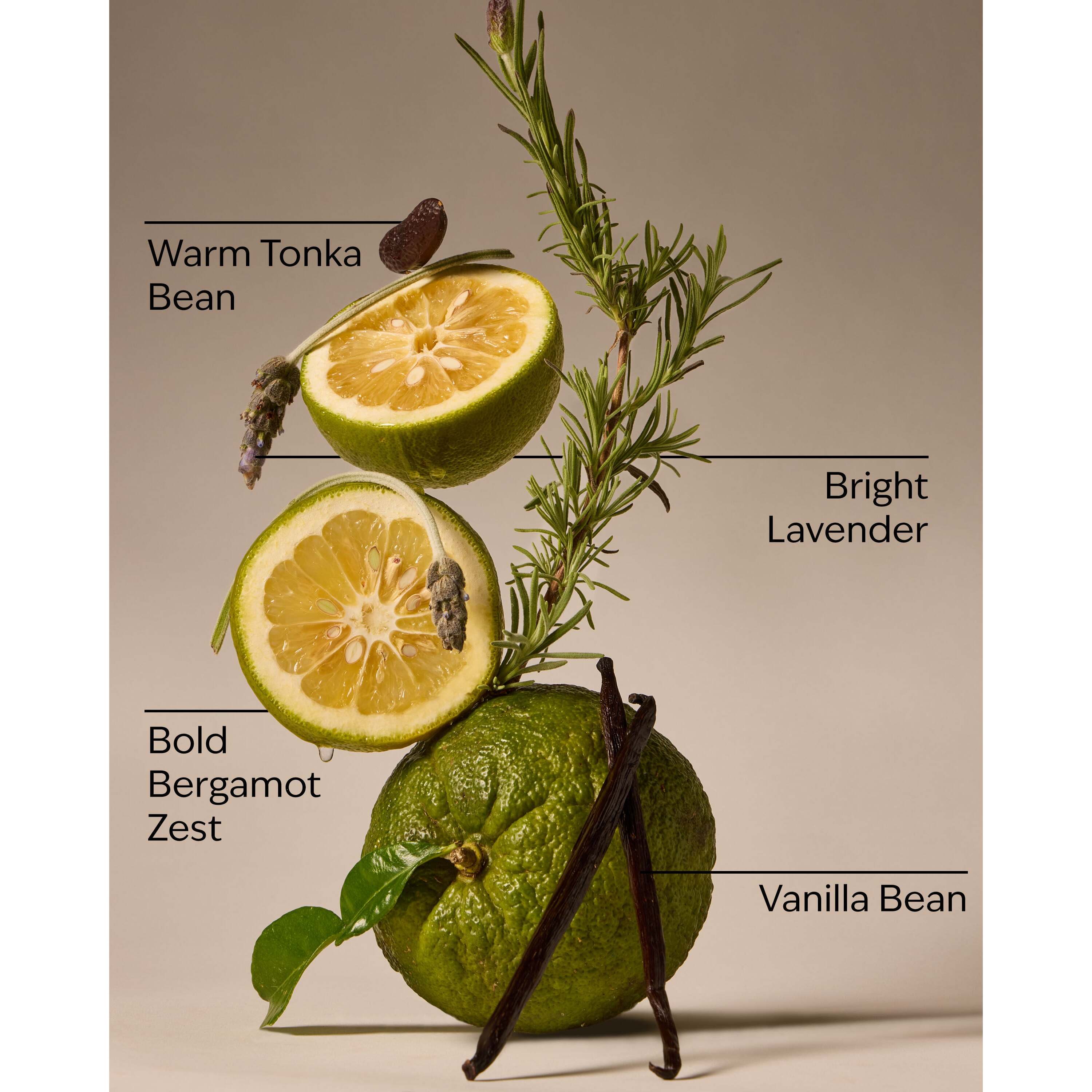 Lavender Bergamot Moisturizing Pocketbac Hand Sanitizer - Image 3