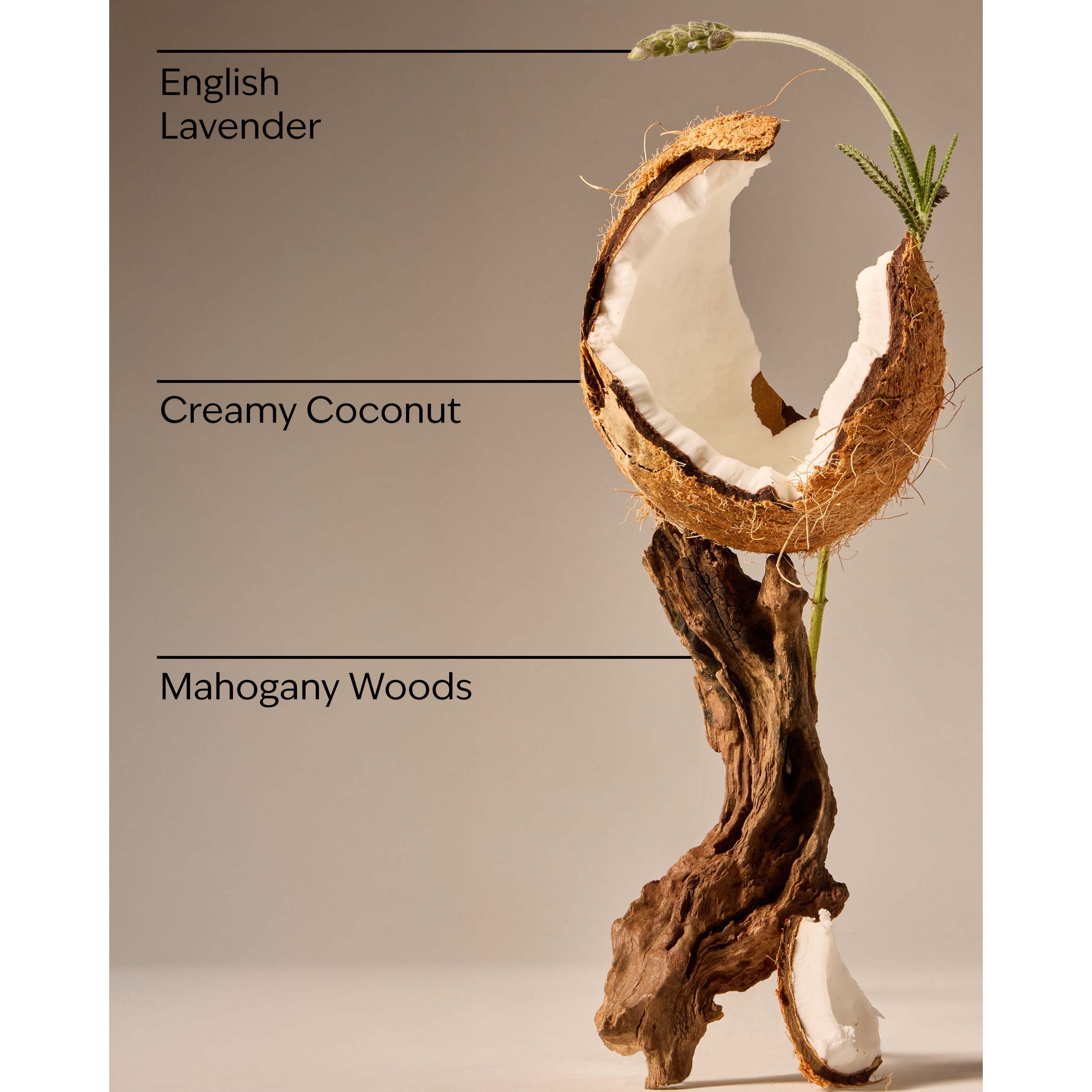 Mahogany Coconut Concentrated Room Spray - Image 3
