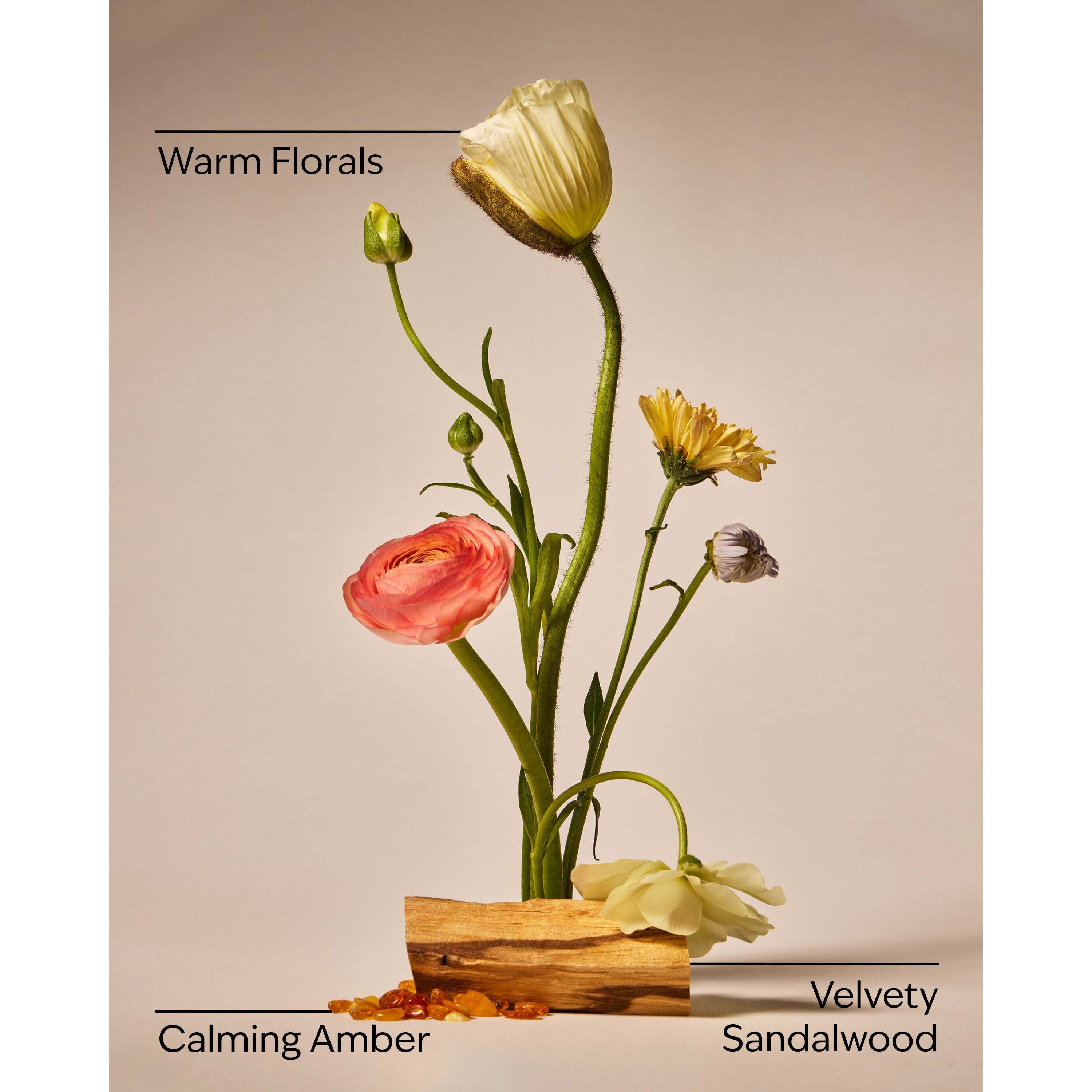 Warm Summer Evening Cleansing Gel Hand Soap - Image 3