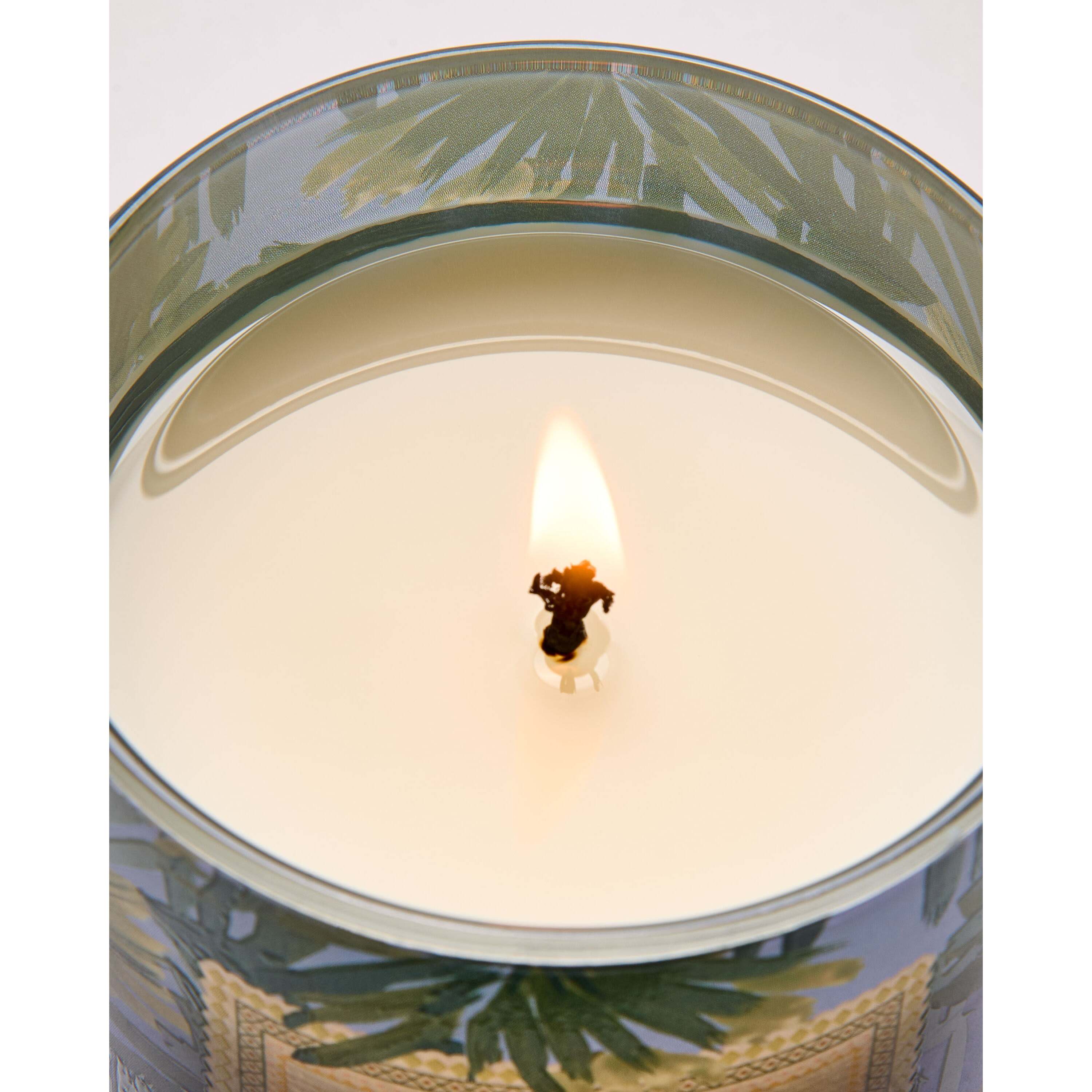 Warm Ocean Breeze Single Wick Candle - Image 5