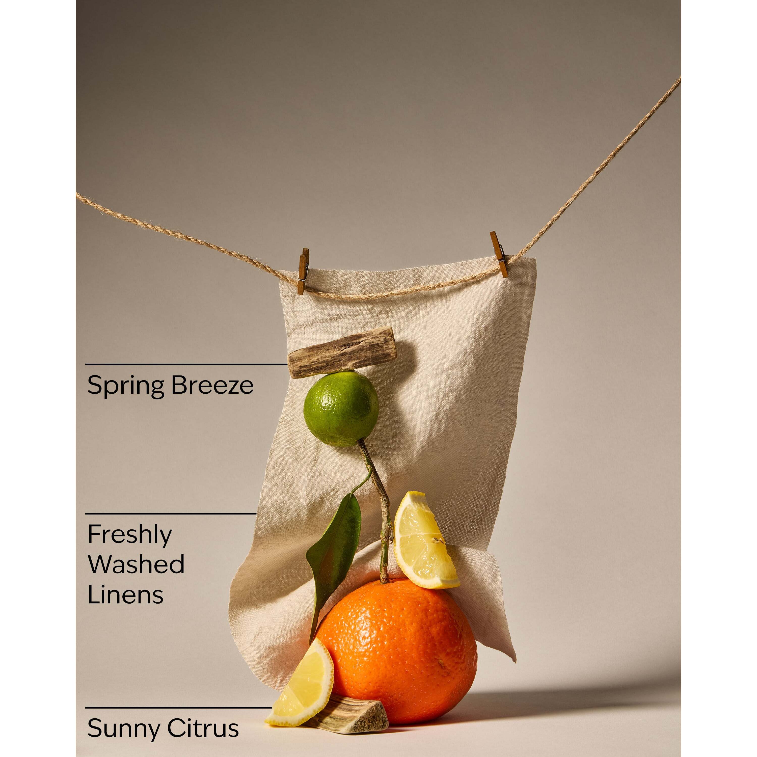Nana's Clothesline Wallflowers Fragrance Refill - Image 3