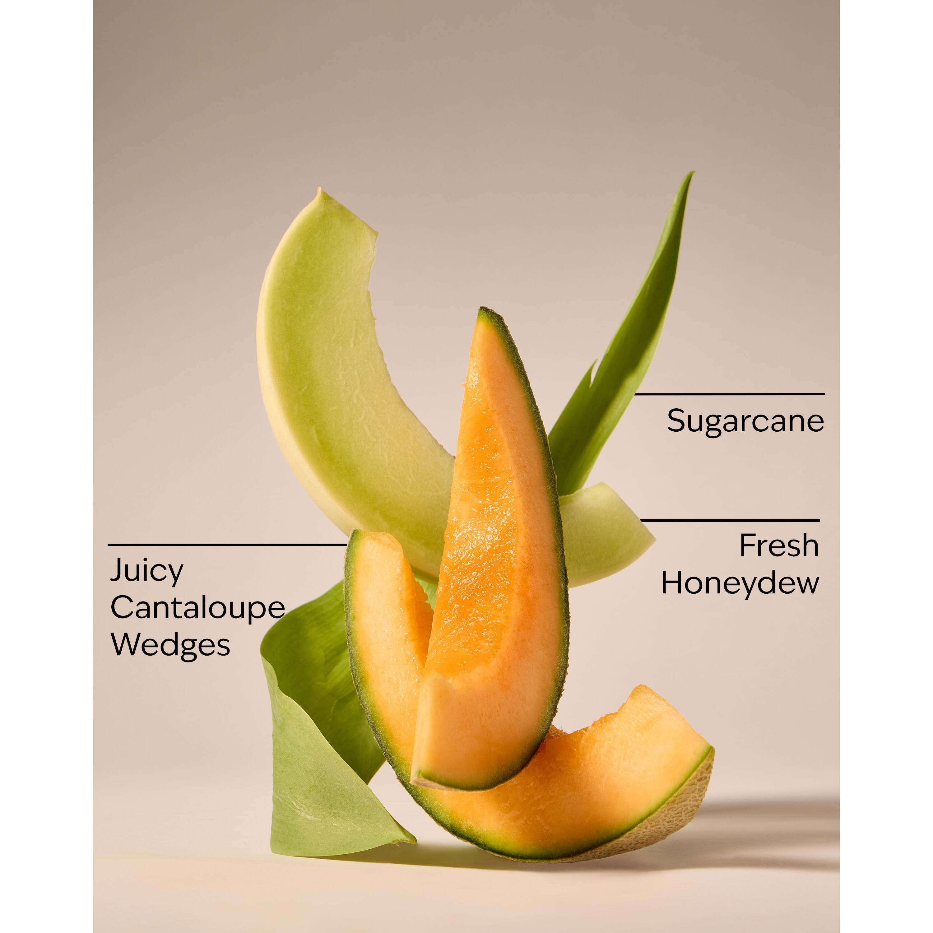 Melon Slice Wallflowers Fragrance Refill - Image 3