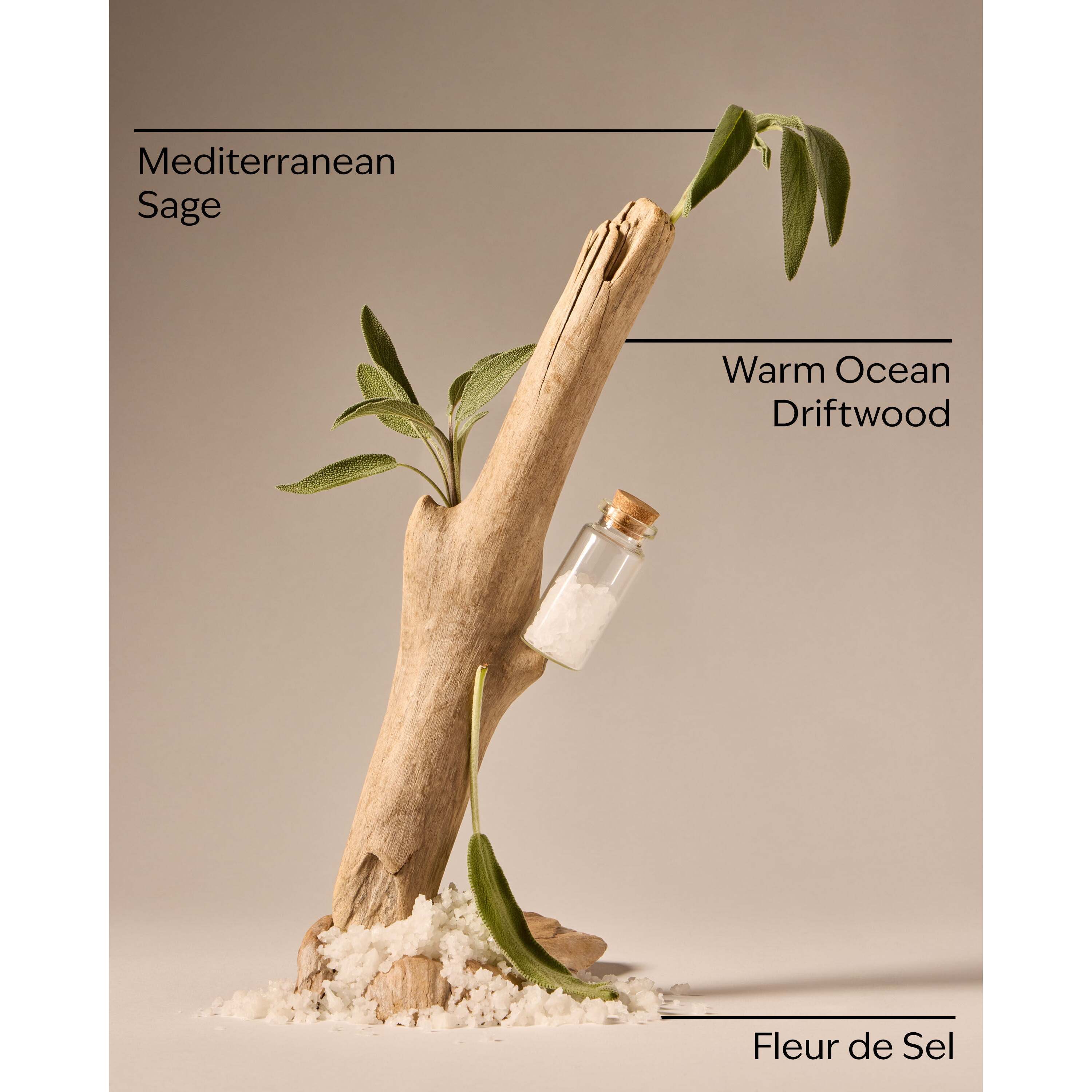 Sea Salt & Driftwood Wallflowers Fragrance Refill - Image 3