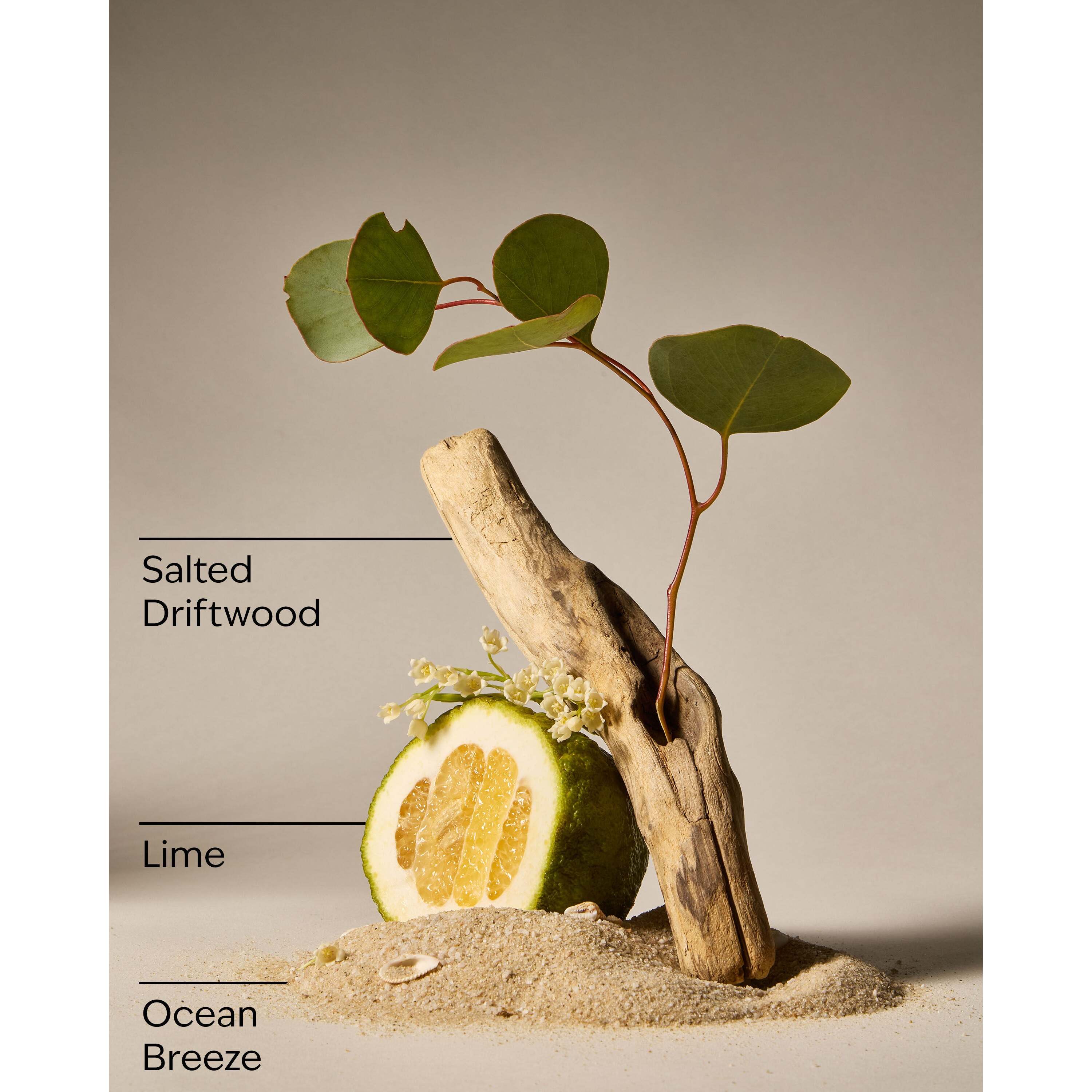 Sea Salt Coast 3-Wick Candle - Image 3