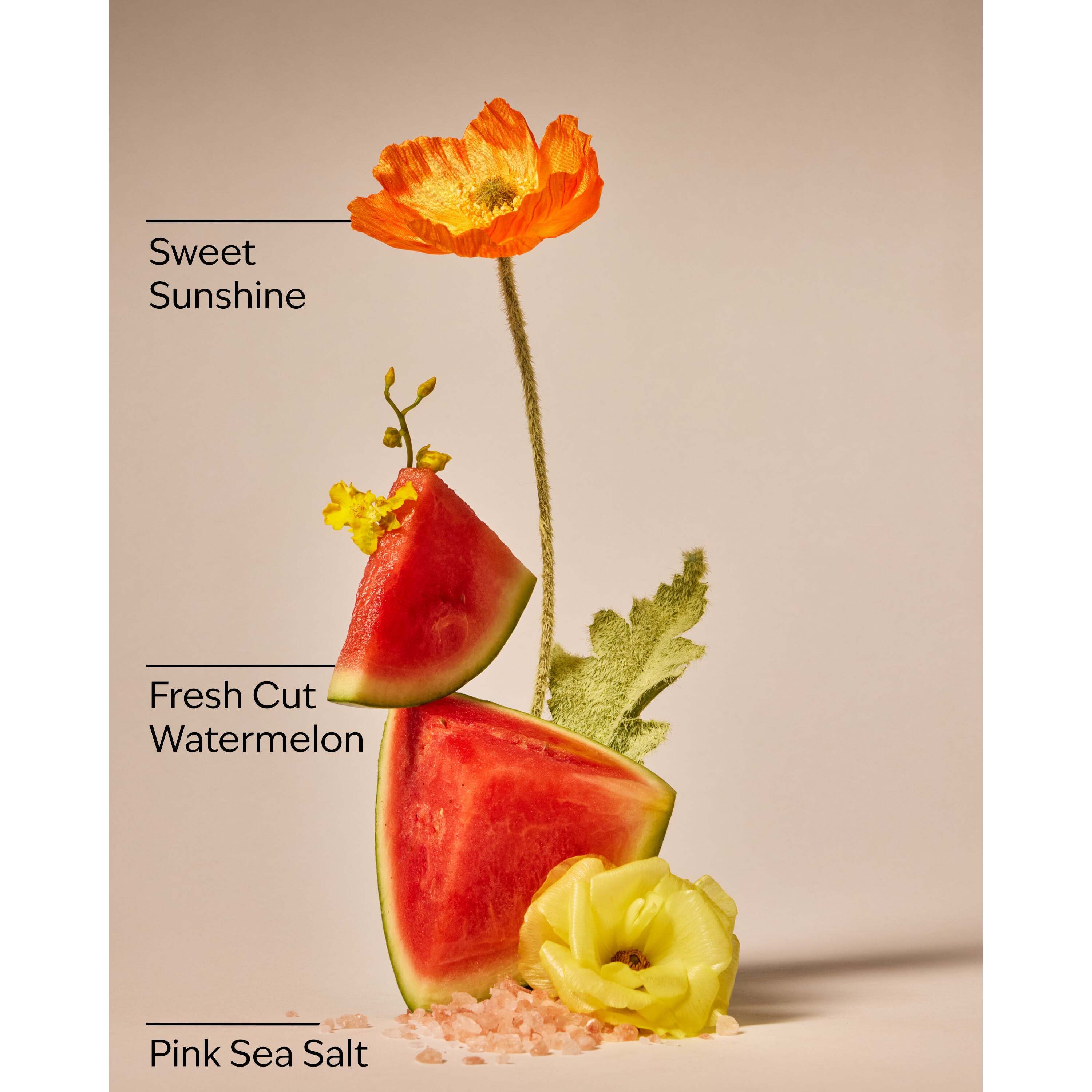 Fresh Watermelon Hand Sanitizer Spray - Image 3