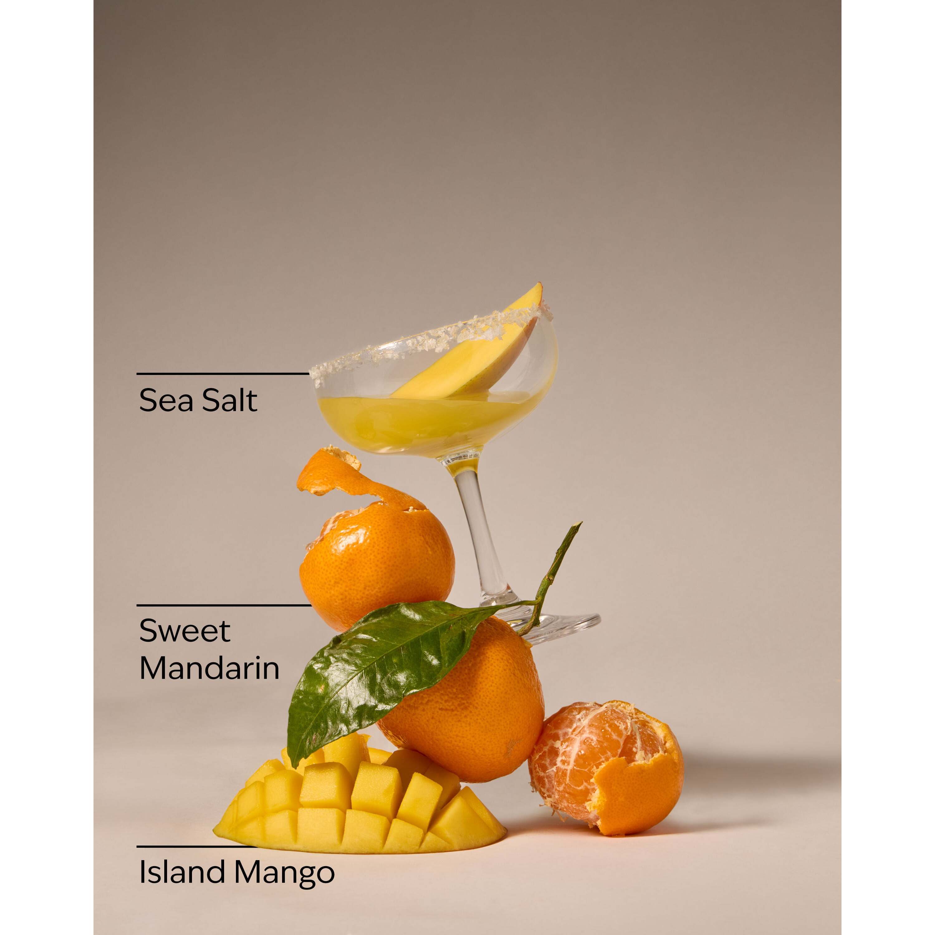 Island Margarita Pocketbac Hand Sanitizer - Image 3