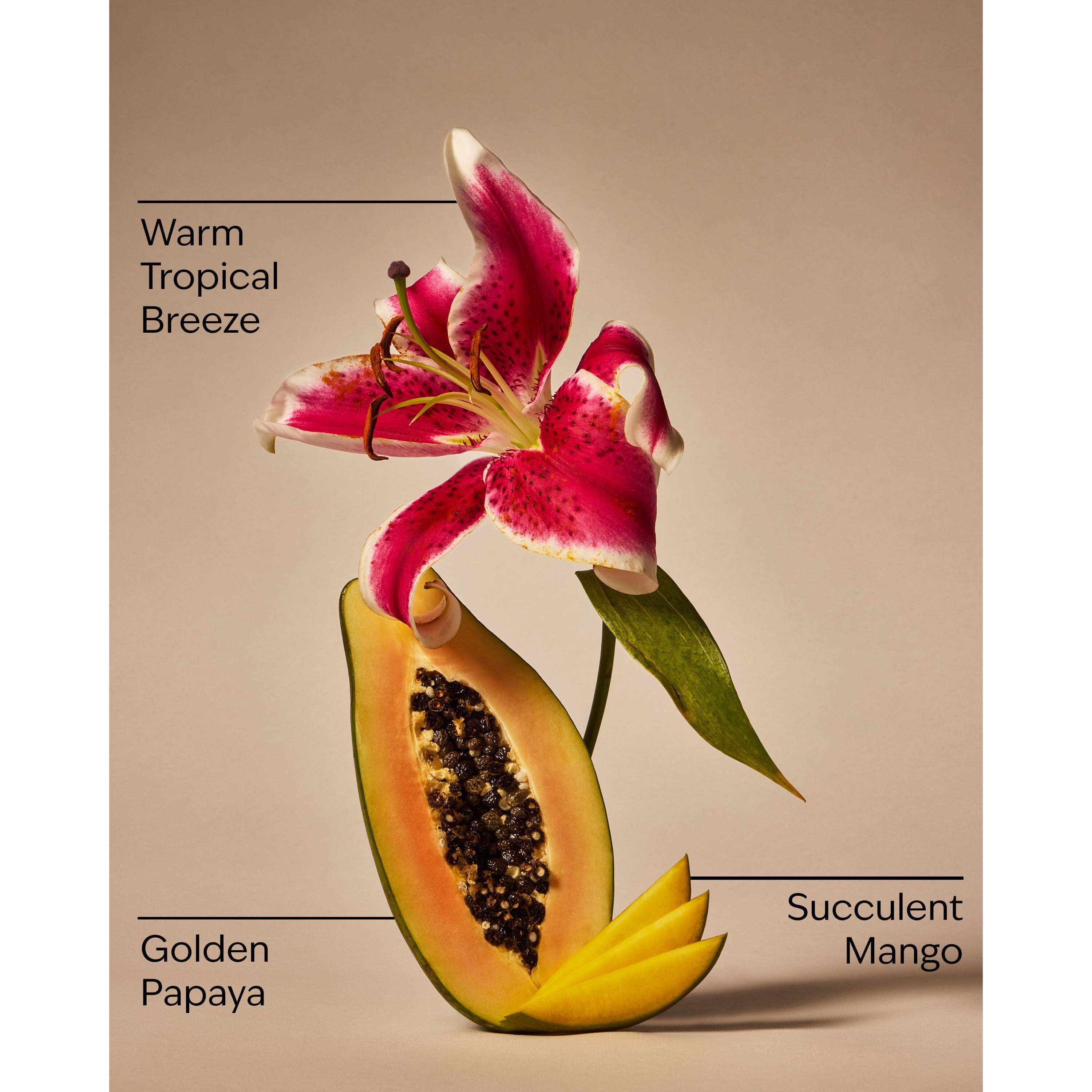 Mango Papaya Paradise 3-Wick Candle - Image 3